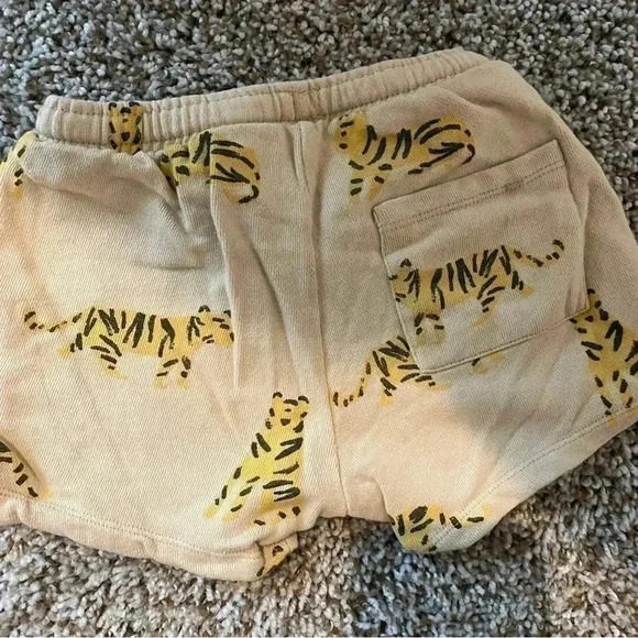 BUNDLE 2 Zara Shorts - Picture 3 of 4